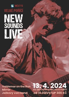 New sounds live - koncert mladých kapel