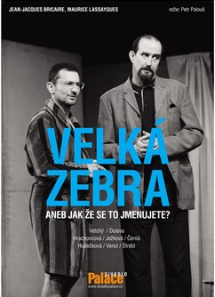Velká zebra na Špilberku