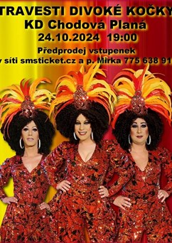 travesti show Divoké kočky