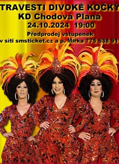 travesti show Divoké kočky