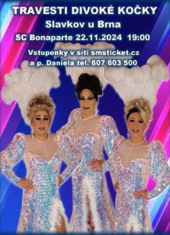 Travesti Divoké kočky ve Slavkově u Brna