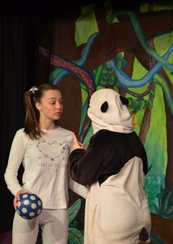 Dobrodružství pandy Bublinky a její kamarádky Aničky