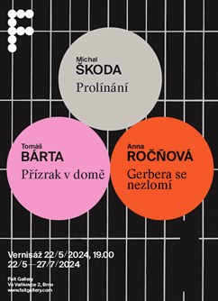 Michal Škoda / Tomáš Bárta / Anna Ročňová