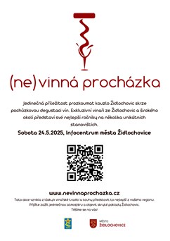 (ne)vinná procházka v Židlochovicích