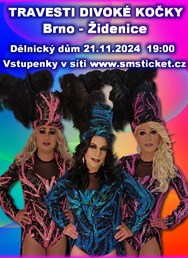 Travesti Divoké kočky v Brně