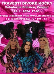 Travesti Divoké kočky ve Znojmě