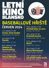 LETNÍ KINO - Bratři