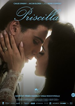 Priscilla - Letní kino Litoměřice