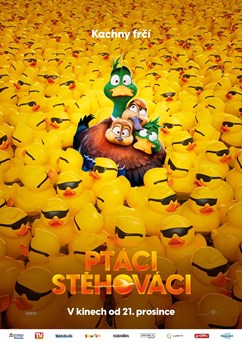 Ptáci stěhováci - Letní kino