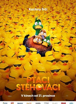 Ptáci stěhováci - Letní kino
