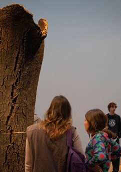 Prohlídka výstav Beyond the Sound a Zvukové krajiny Brna