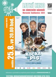 Letní kino: Kočka a pes