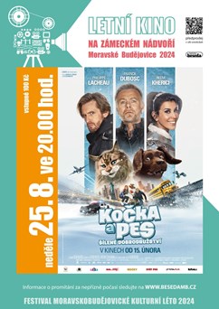 Letní kino: Kočka a pes