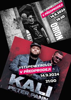 Koncert v rámci "90 let školy"