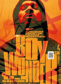 Boy Wonder (SK) + Brabiček & blanc