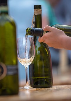  Festivalová stodola: Degustace festivalové kolekce vín