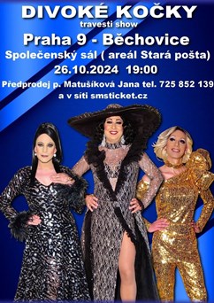 travesti Divoké kočky v Praze