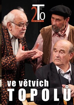 Vítr ve větvích topolů