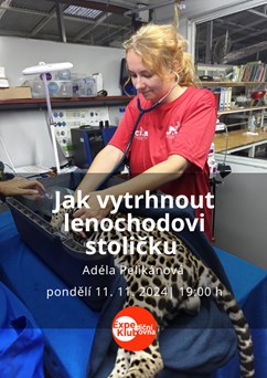 Jak vytrhnout lenochodovi stoličku
