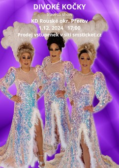 Divoké kočky - travesti skupina