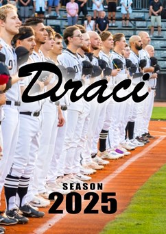 Draci Brno Baseball - sezónní permanentka 2025