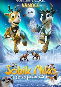 Sobík Niko: Cesta za polární záři  2D