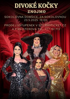 Travesti Divoké kočky ve Znojmě
