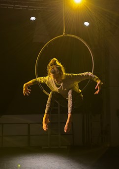 Jana Švecová – Z deníku pohybů světa