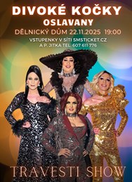 Travesti show Divoké kočky v Oslavanech