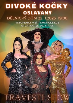 Travesti show Divoké kočky v Oslavanech