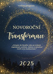 Novoroční Transformace