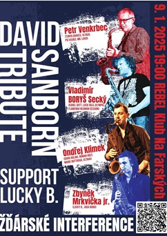 4 saxofony - "David Sanborn Tribute"