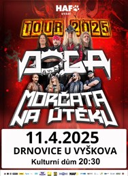 Doga + Morčata na útěku