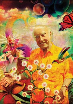 Albert Hofmann B-Day ChillOut Party PsycheDelight