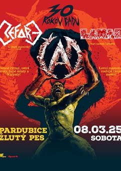 ČAD 30 LET TOUR - Pardubice