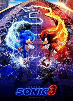 JEŽEK SONIC 3