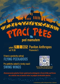 Ptačí ples