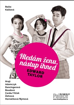 Hledám ženu, nástup ihned v Litvínově