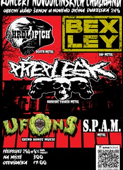 Koncert Novojičínských Chuligánů