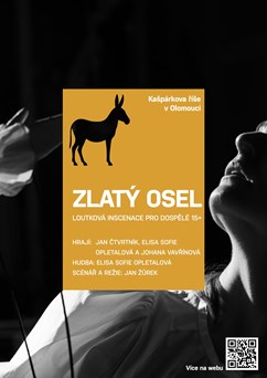 Zlatý osel