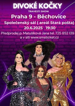 travesti Divoké kočky v PRAZE