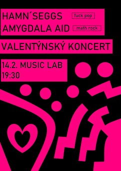 Hamn’Seggs + Amygdala Aid - Valentýnský koncert 