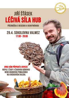 Léčivá síla hub / Jiří Šťásek