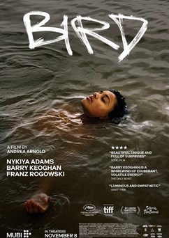 TADY VARY:  Ptáče  