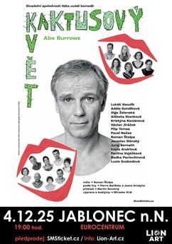 Kaktusový květ v Jablonci nad Nisou