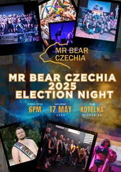 Mr Bear Czechia 2025: Election night