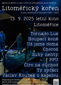 Litoměřický kořen