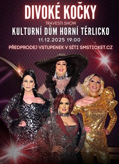 Travesti show Divoké kočky Horní Těrlicko