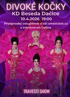 Travesti show Divoké kočky v Dačicích