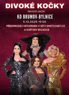Travesti show Divoké kočky v Brumově - Bylnici